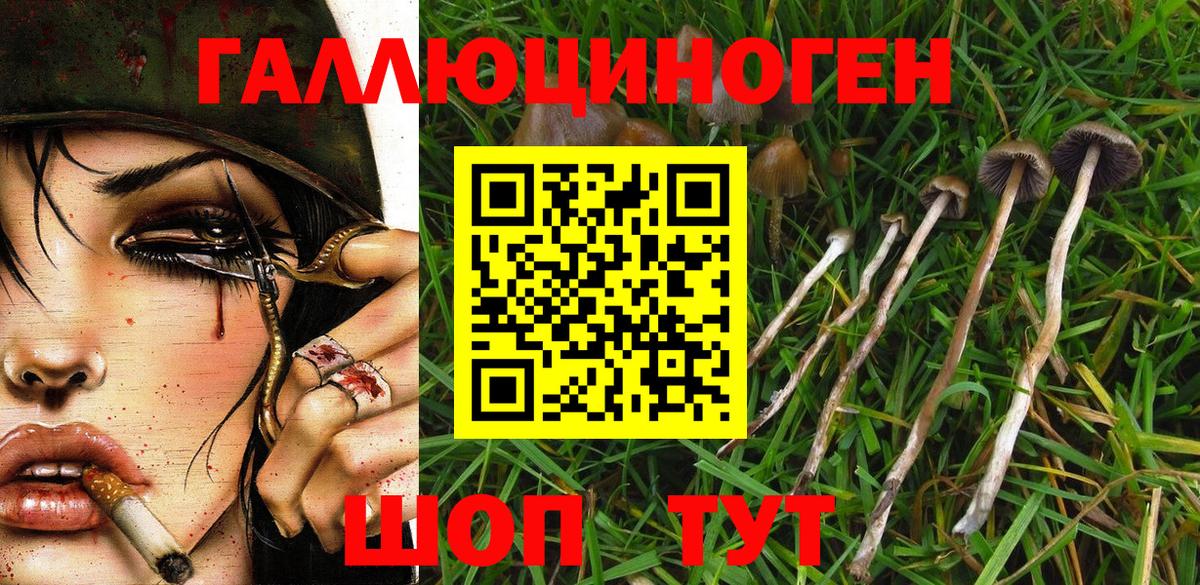 Псилоцибиновые грибы GOLDEN TEACHER Новотроицк