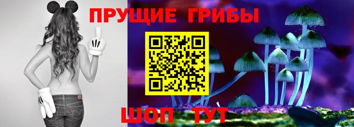Галлюциногенные грибы Psilocybe  Вход с VPN  купить наркоту  Новотроицк  Галлюциногенные грибы GOLDEN TEACHER 